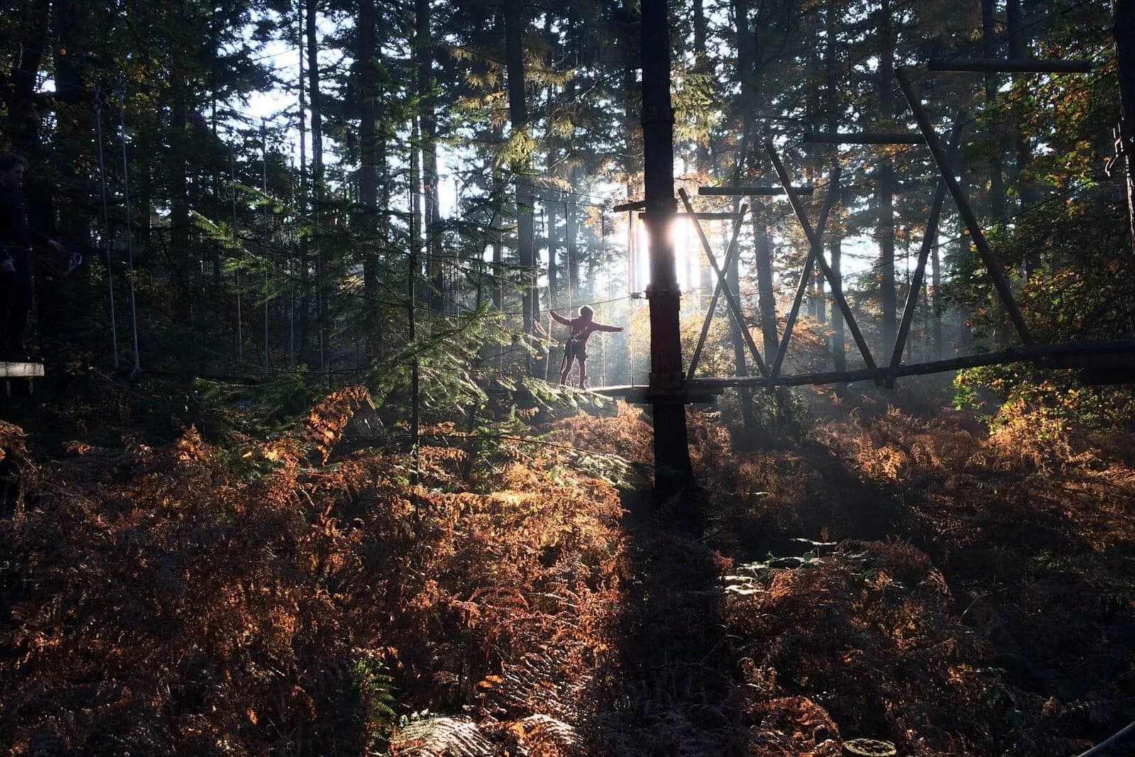 Klimbos Lage Vuursche
