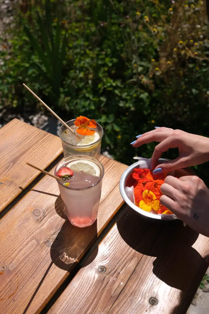 Zon