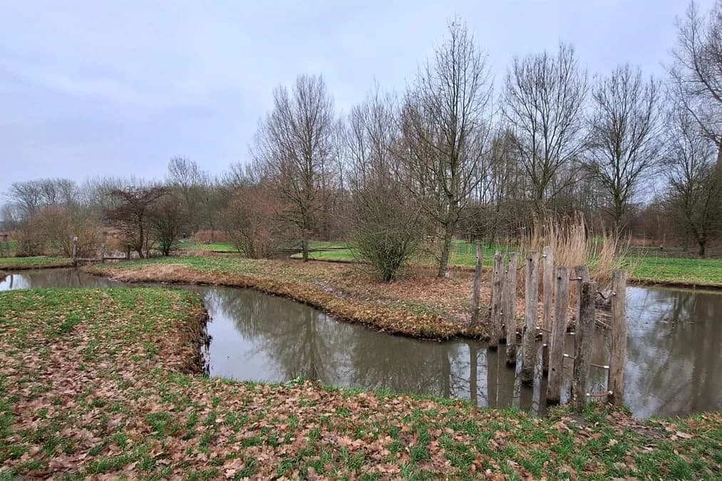 Speelbos Nieuw Wulven