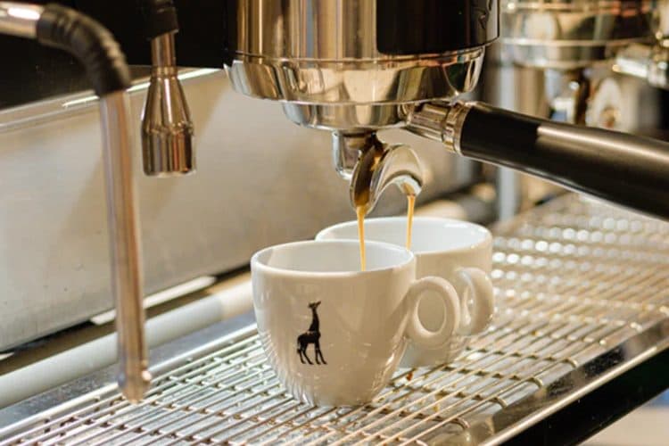 Giraffe Coffee Bar & Academy