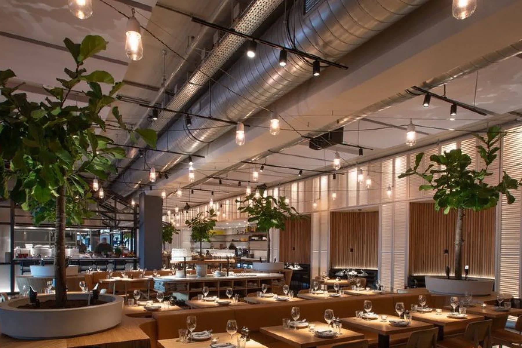 Restaurantzaal met gedekte tafels, houten stoelen, grote kamerplanten en een open keuken