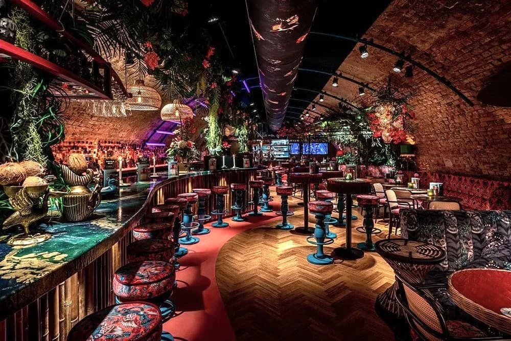 Kelderbar met gebogen toog, barkrukken, visgraatvloer, bakstenen gewelf, kunstplanten en gekleurde verlichting