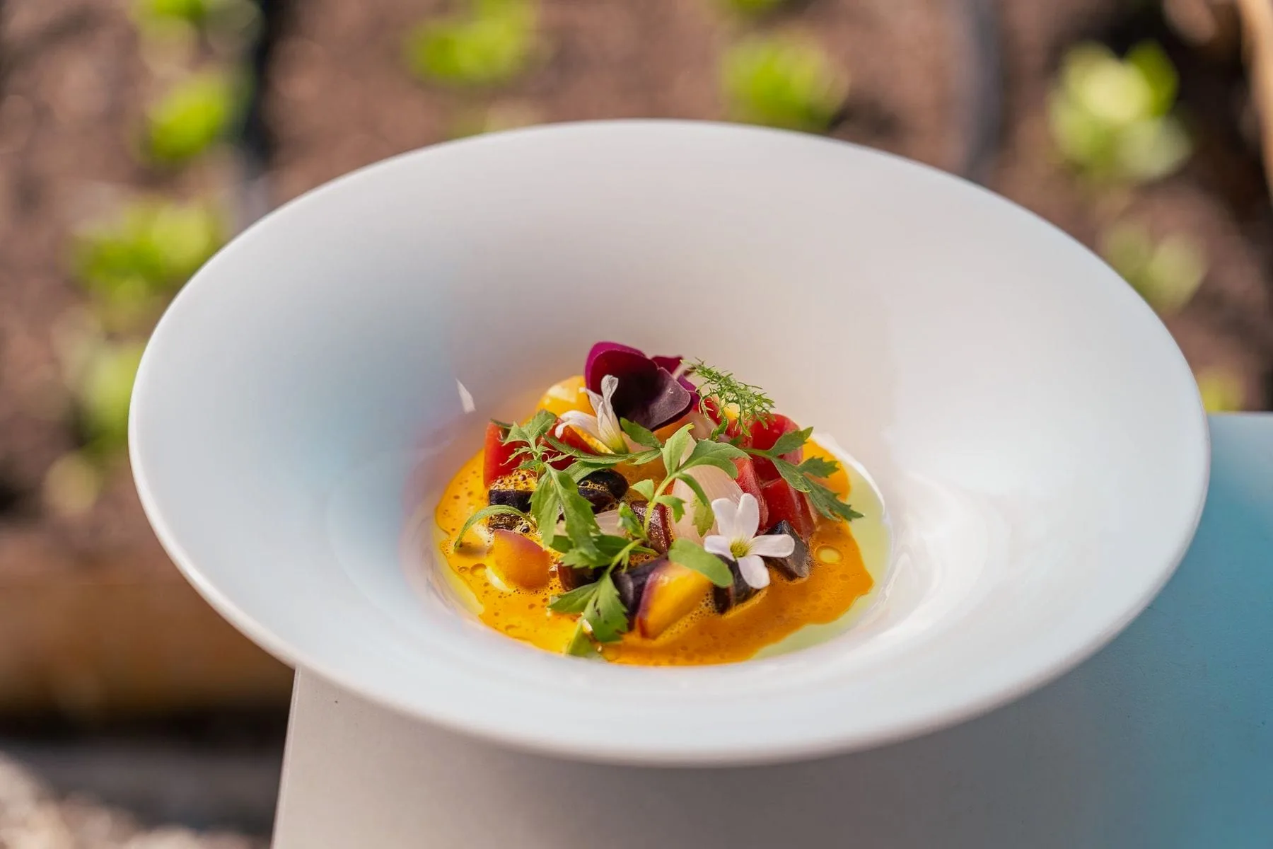 Wit diep bord met oranje saus, groente, kruiden en eetbare bloemen buiten